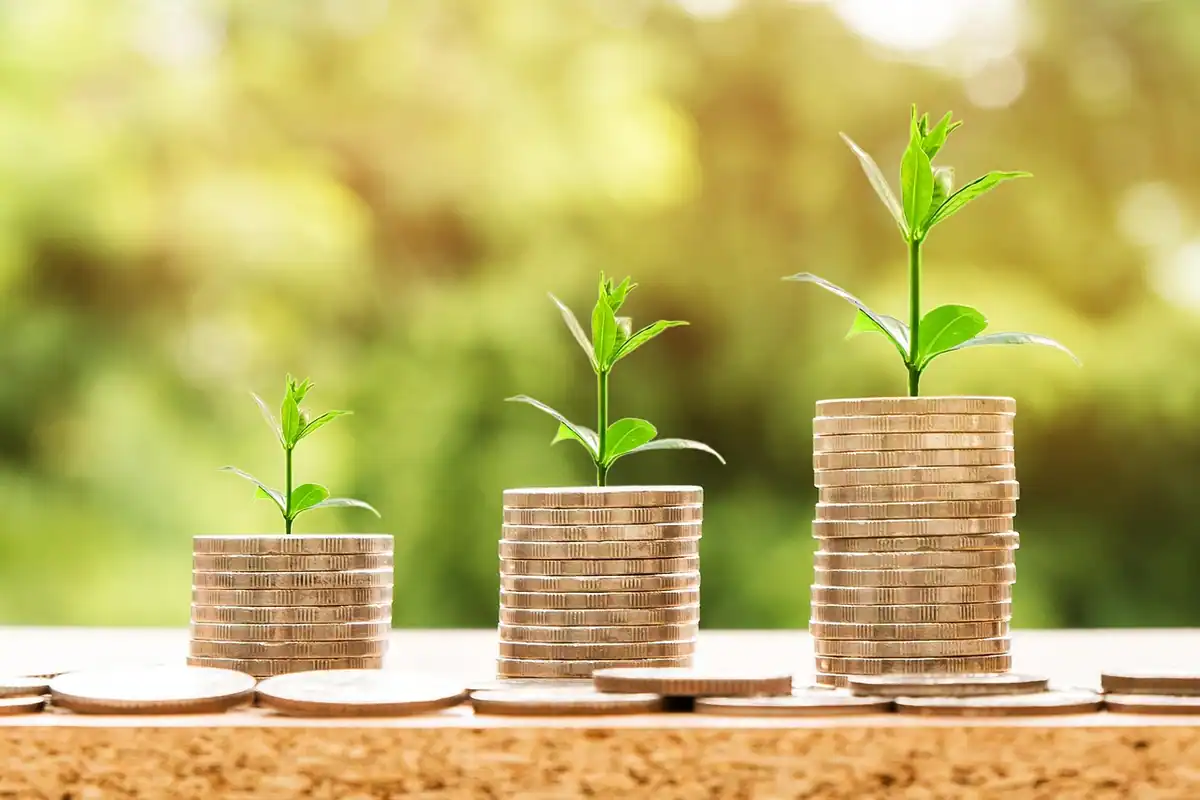 Stive de monede așezate pe o masă, simbol al banilor și al economiilor
